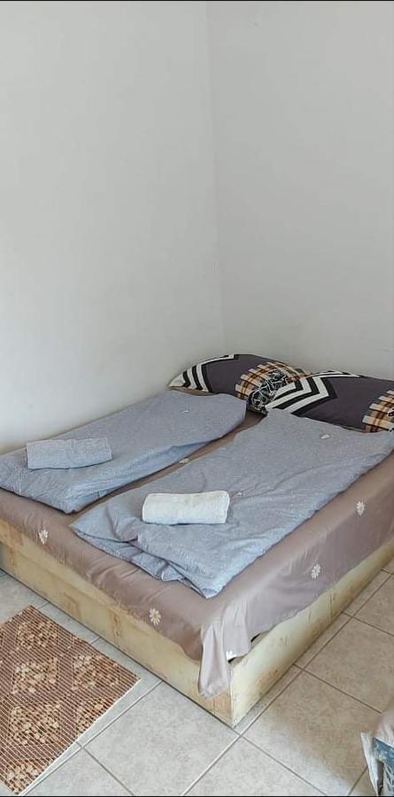 바다초니토마이 Kekturas-Tora Nyilo Badacsonyi Privat Berlemeny 아파트 객실 사진